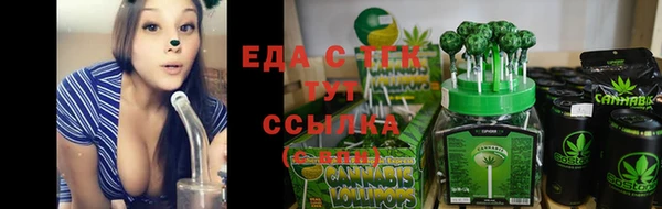 гашик Кукмор