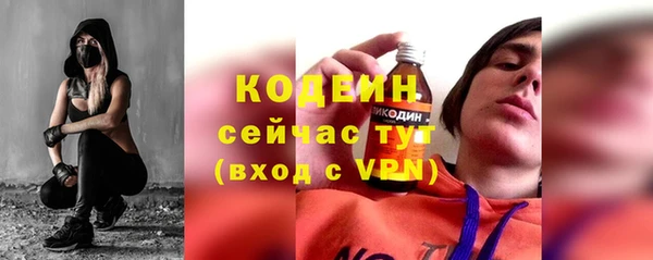шишки Куйбышев