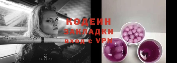 шишки Куйбышев