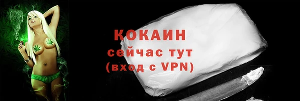спайс Кулебаки