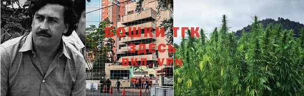 шишки Куйбышев