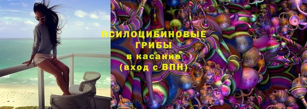 спайс Кулебаки