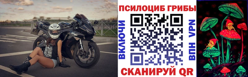 дарнет шоп  Красногорск  Псилоцибиновые грибы Cubensis 