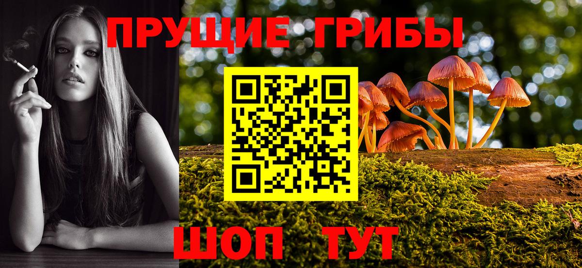 Псилоцибиновые грибы Psilocybe  наркота  Красногорск  Вход с VPN 