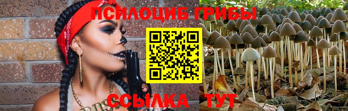 Псилоцибиновые грибы ЛСД  Красногорск 