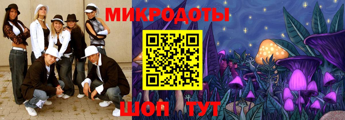 Галлюциногенные грибы Psilocybe Красногорск