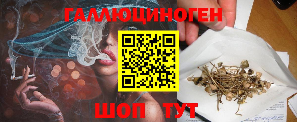 Псилоцибиновые грибы Cubensis Красногорск